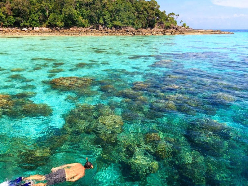 ทัวร์เกาะสุรินทร์