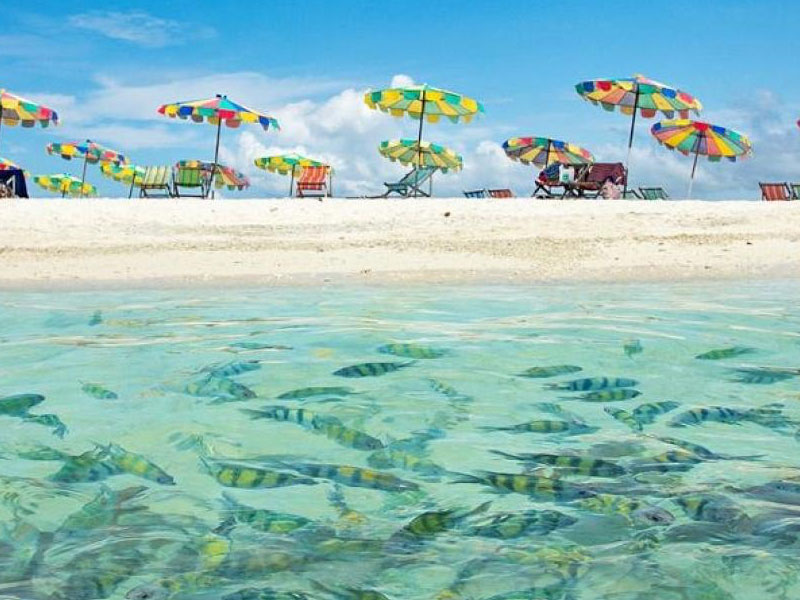 ทัวร์เกาะไข่ครึ่งวัน เช้า-บ่าย