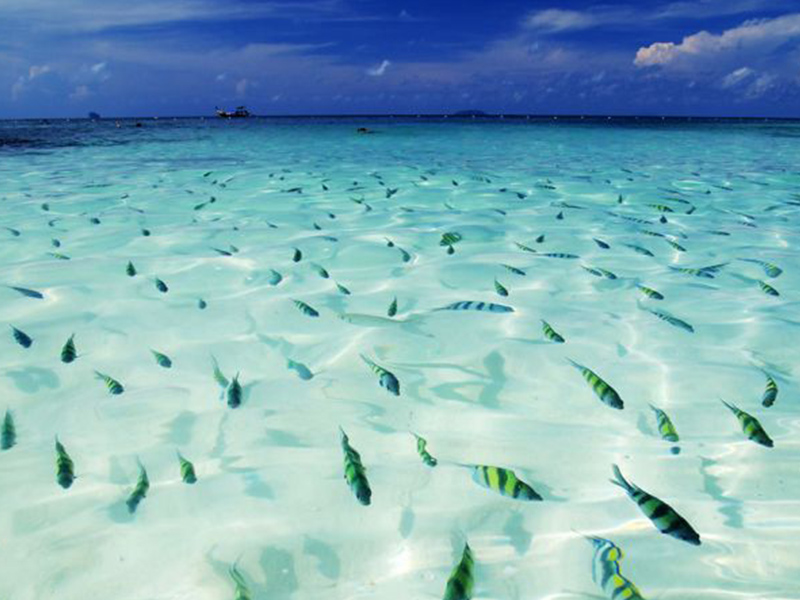 ทัวร์เกาะไข่ครึ่งวัน เช้า-บ่าย